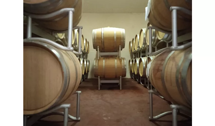 Terre Di San Ginesio Srl