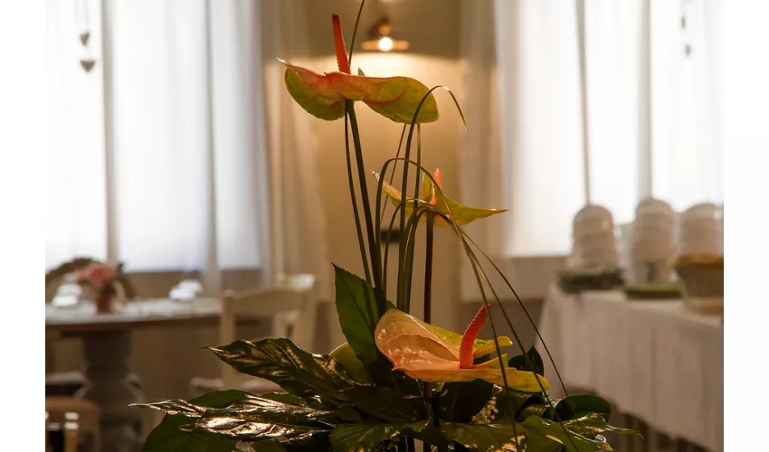 Locanda Del Ginnasio