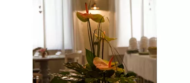 Locanda Del Ginnasio