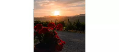 Podere Ema