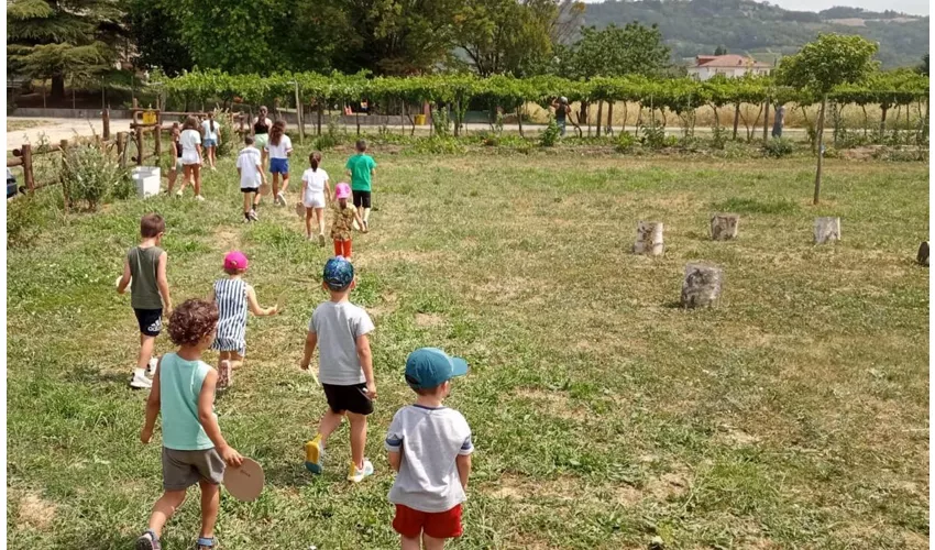 Bio Agriturismo Maramao