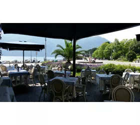 Harry's Bar