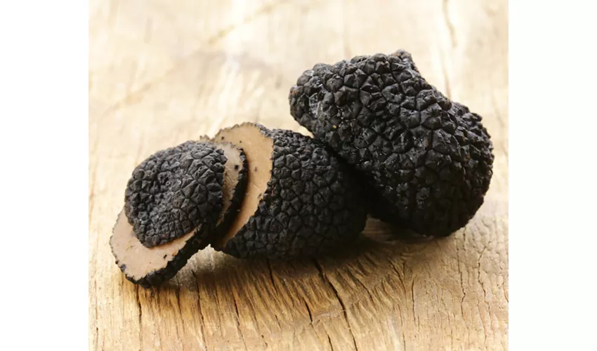 delicacy mushroom black truffle  -  rare and expensive vegetable
