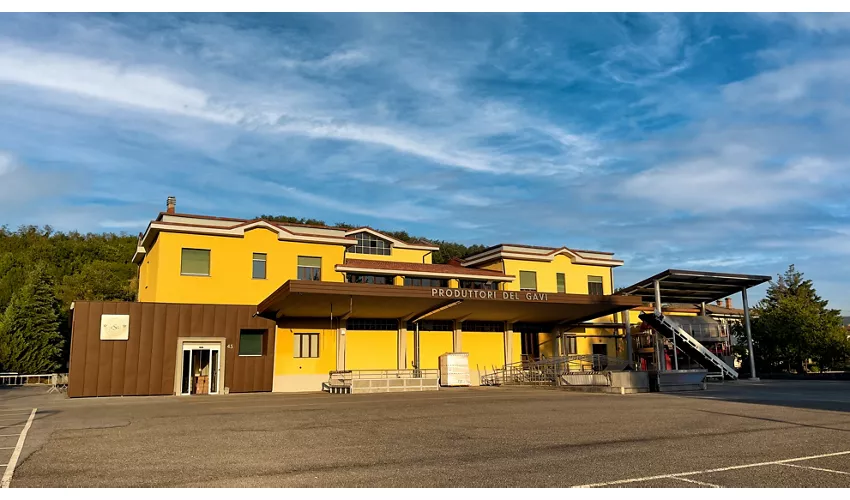 Produttori Del Gavi