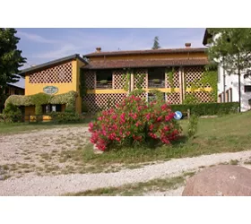 Arriga Alta