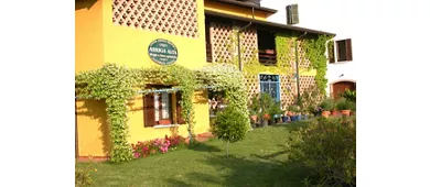 Arriga Alta