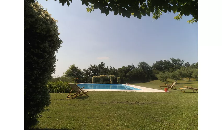 Arriga Alta