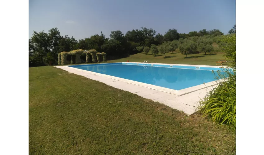 Arriga Alta