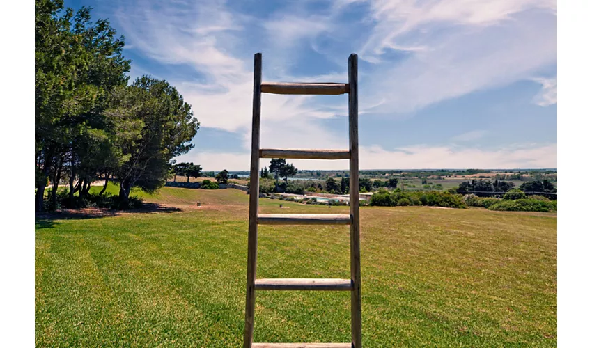 Agriturismo Podere Santa Chiara
