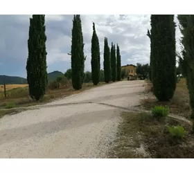 Agriturismo la Svolta