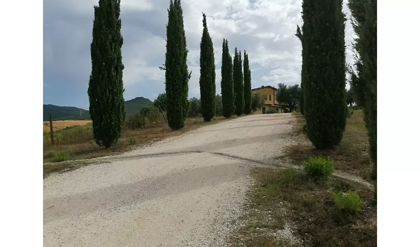 Agriturismo la Svolta