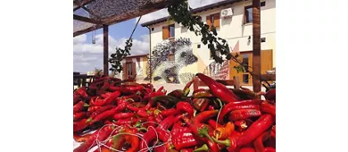 Agriturismo Il Riccio