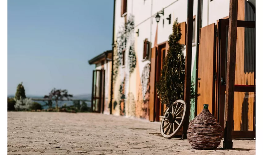Agriturismo Il Riccio
