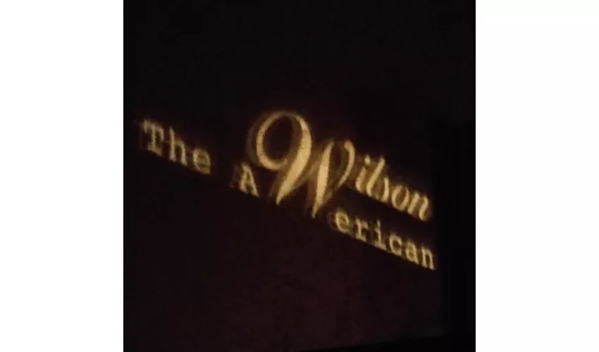 Wilson the Awerican bar