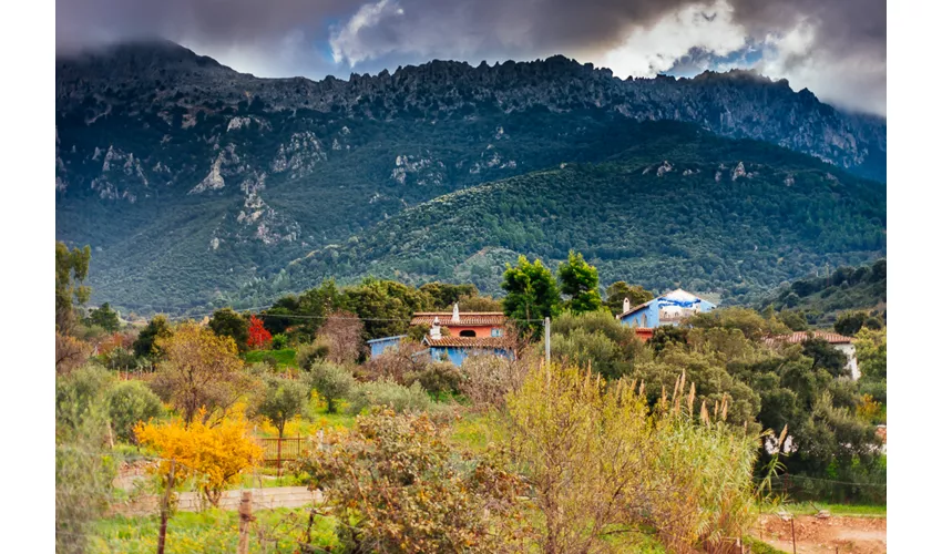 Agriturismo Camisadu