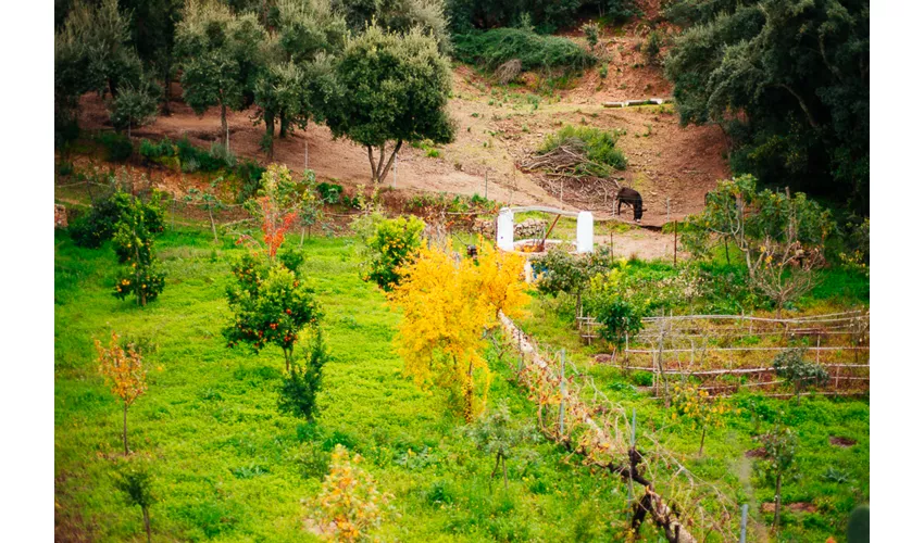 Agriturismo Camisadu