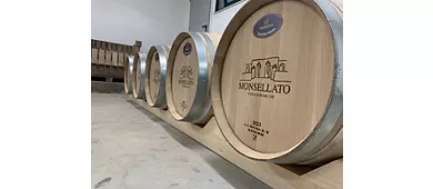 Cantina Monsellato