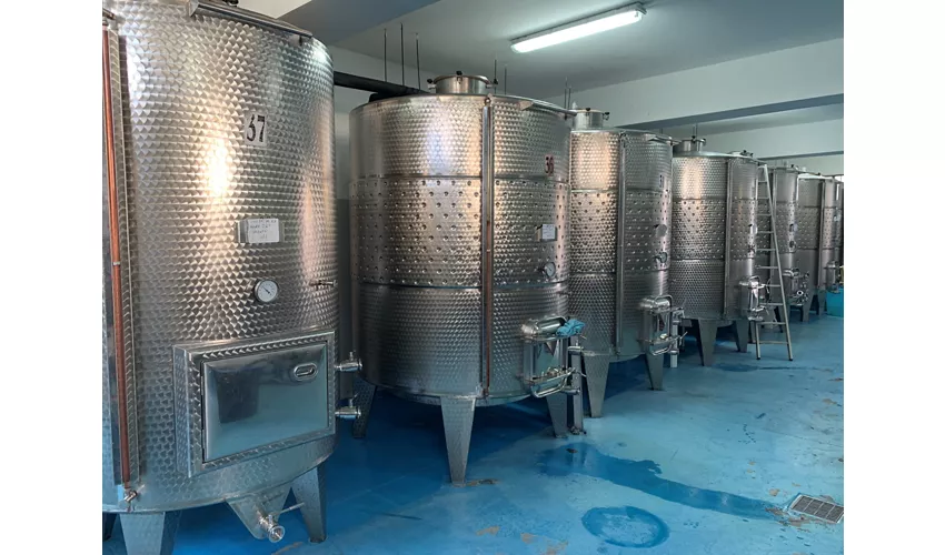 Cantina Monsellato