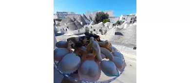 APPERÓ
