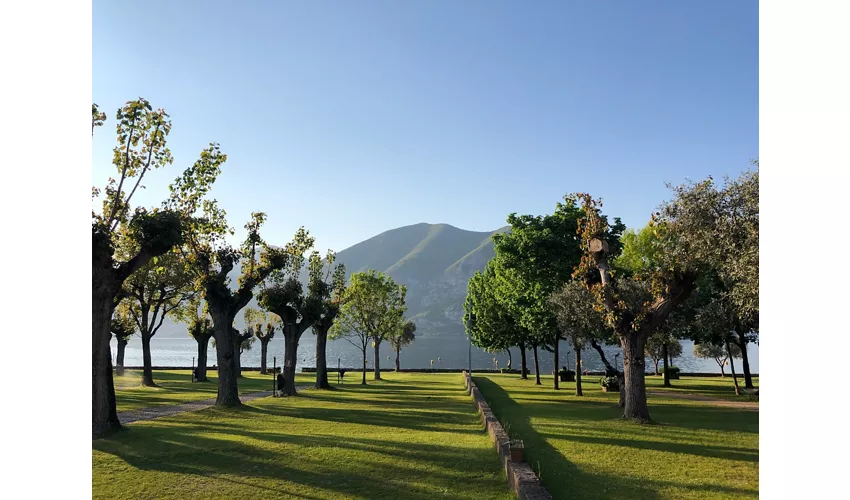 Camping Punta D'Oro