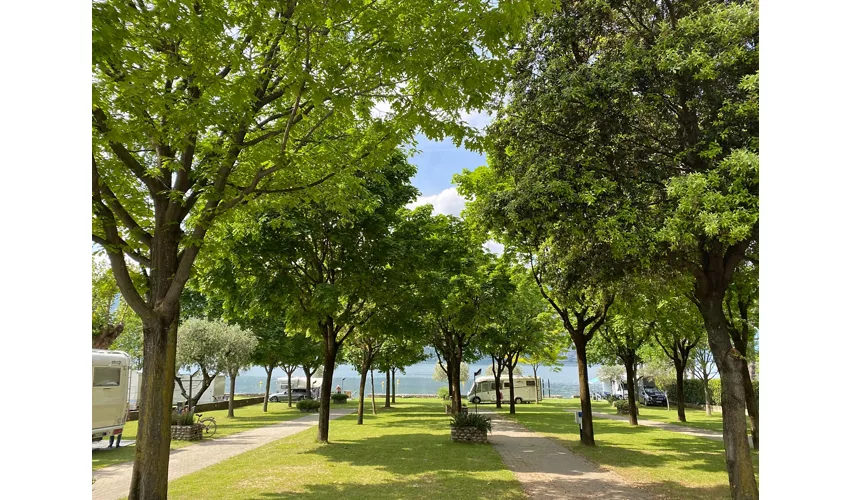 Camping Punta D'Oro