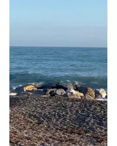 Bombonera