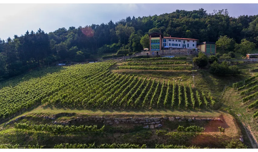 Polisena L'Altro Agriturismo