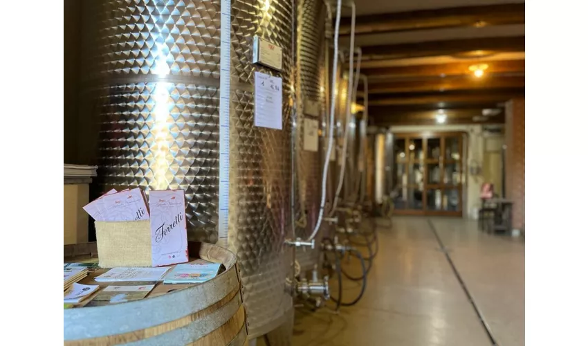 Azienda Vitivinicola FERRETTI s.s.a.