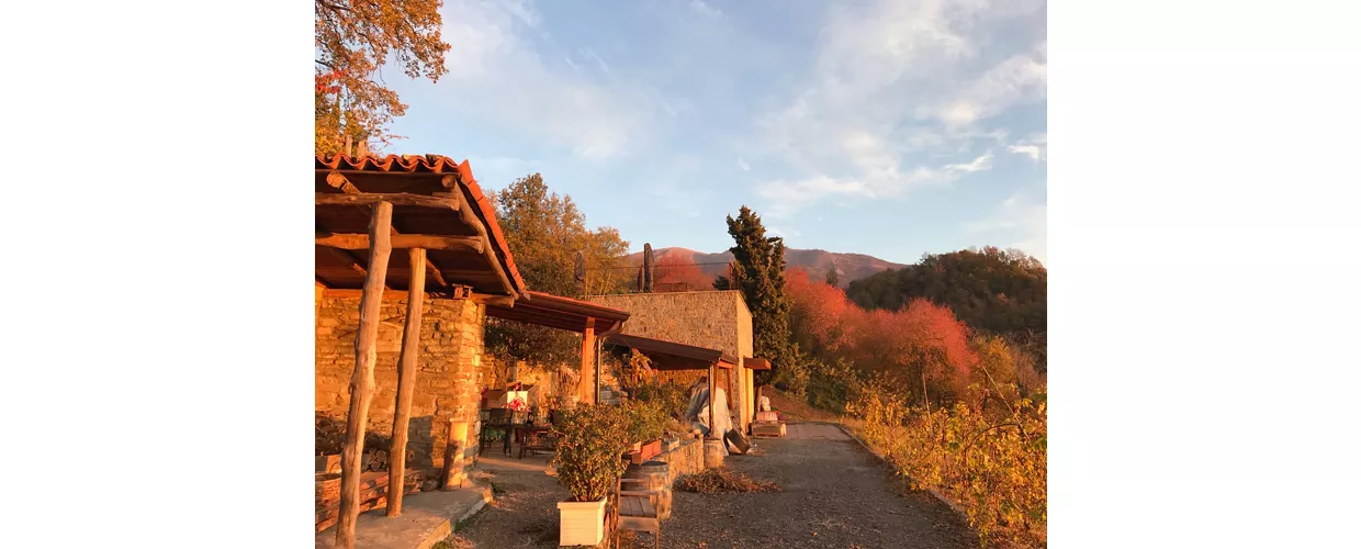 Le Driadi enoturismo