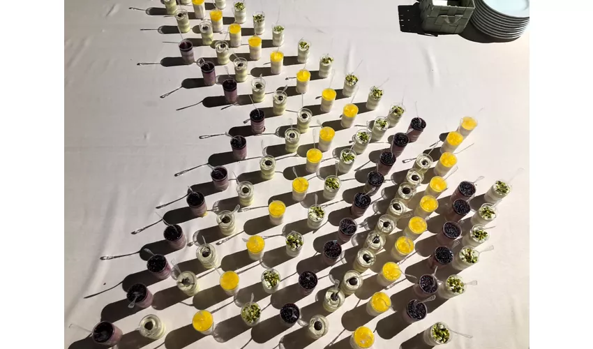 Il Pasticcino
