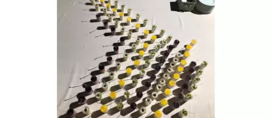 Il Pasticcino
