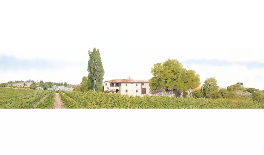 Fattoria Carpineta Fontalpino