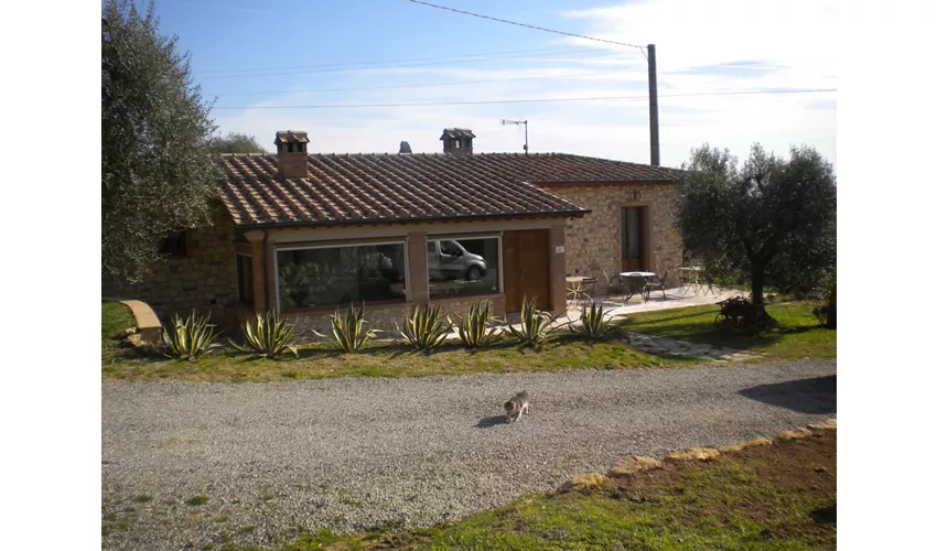 'Il Colle' Azienda Agricola di Rossi Fioretta