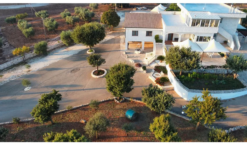 B&B Il Leccio