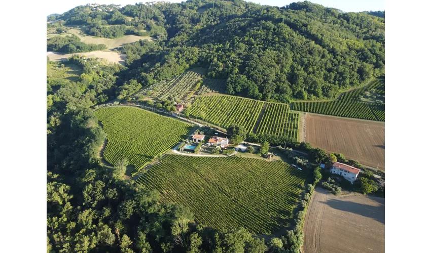 Tenuta Carbognano Agriturismo