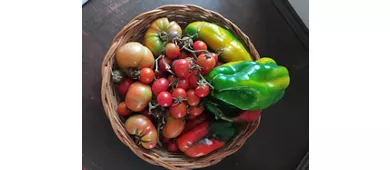 Supramurgia Agribistrot