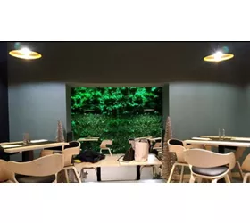 FAHD Sushi bar
