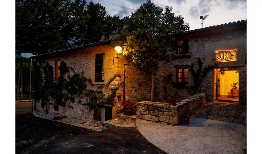 Ristorante UNE