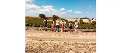 ViandantiSi