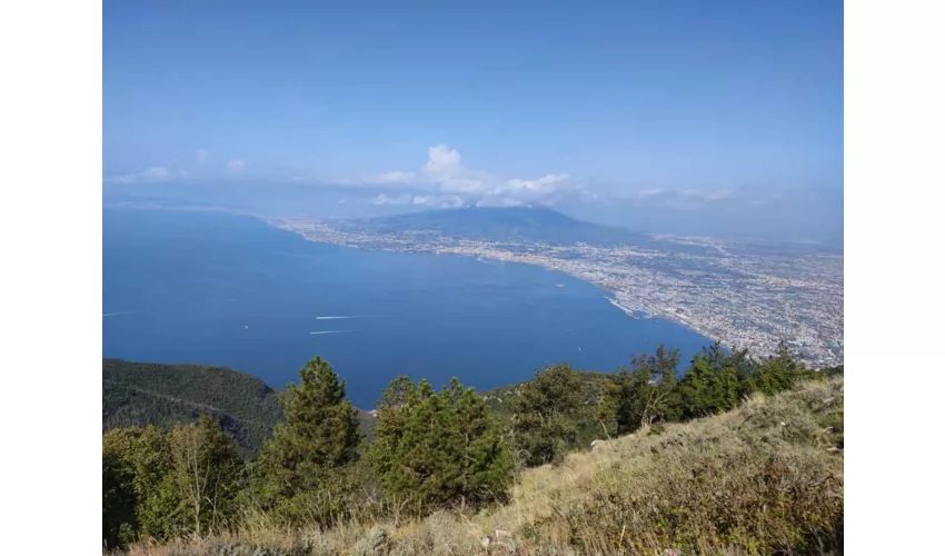 Terrazza Belvedere