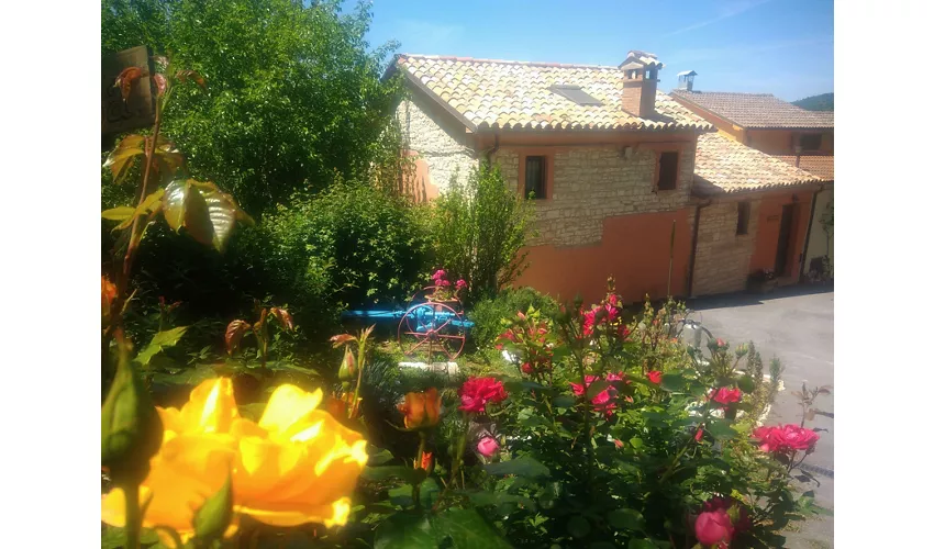 Agriturismo L'Alpaca della Rossa