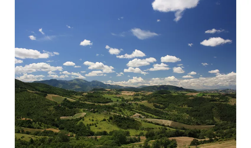 Agriturismo L'Alpaca della Rossa
