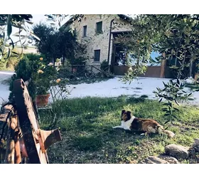 Azienda agrituristica Le Borgianelle