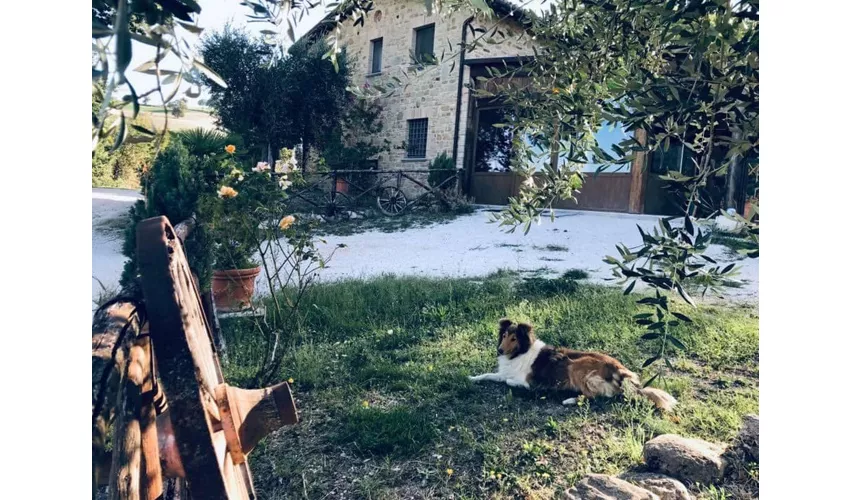 Azienda agrituristica Le Borgianelle