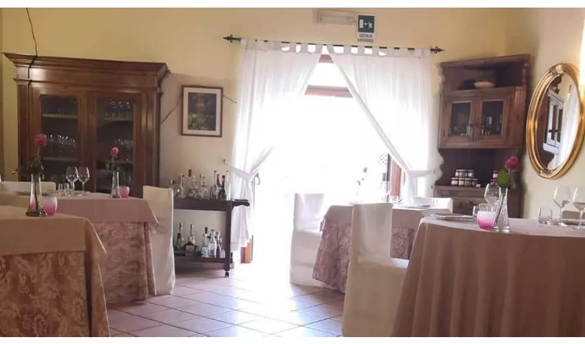 Ristorante Il Funghetto