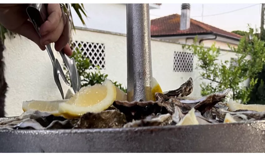 Ristorante Il Funghetto