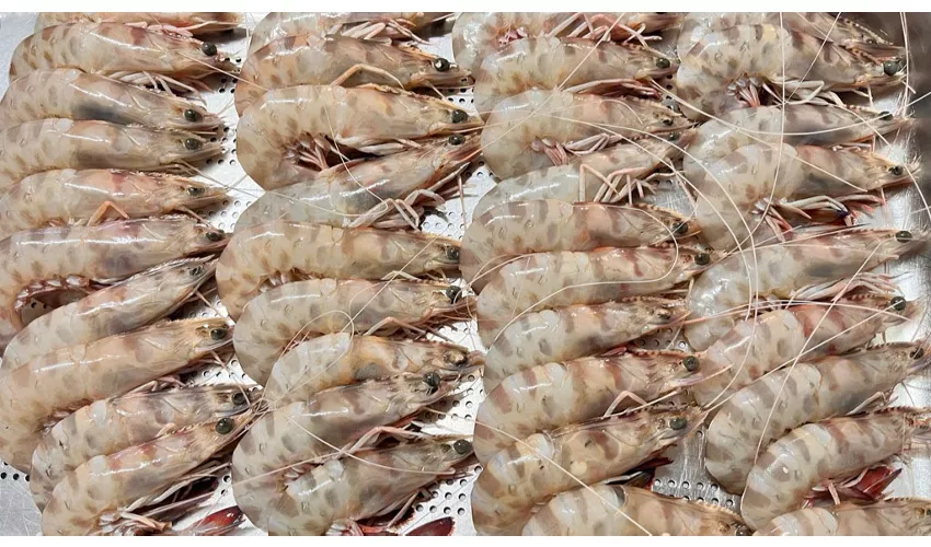 Ristorante Il Funghetto