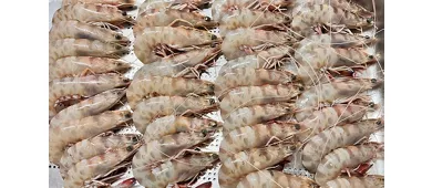 Ristorante Il Funghetto