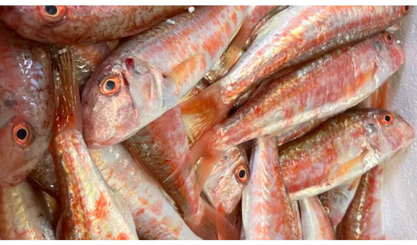 Ristorante Il Funghetto