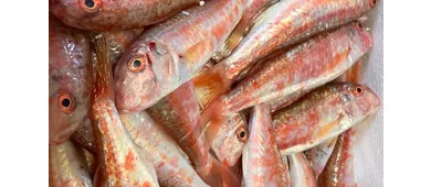 Ristorante Il Funghetto